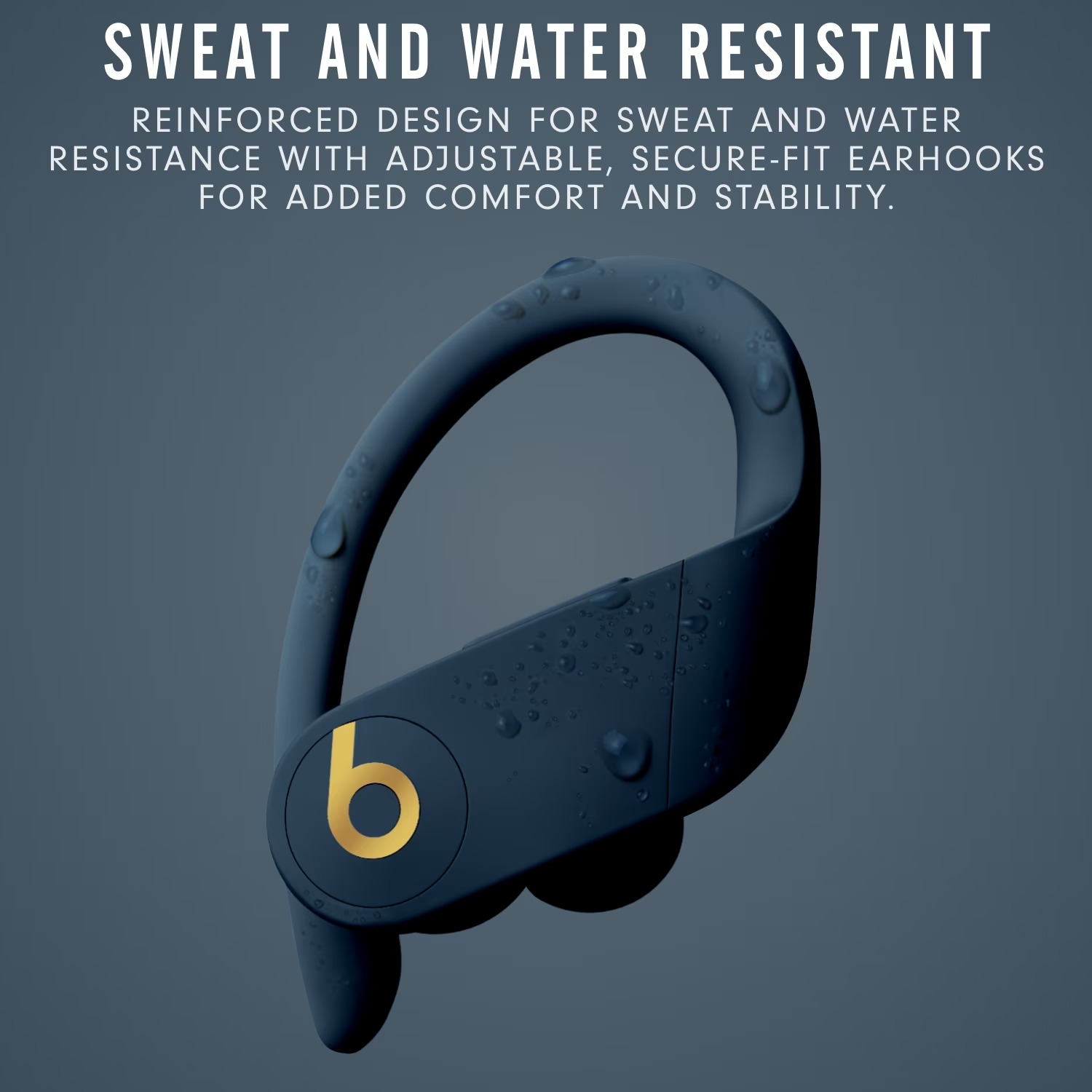 Beats Powerbeats Pro True Wire - Beats Headphone Powerbeats Pro review and price