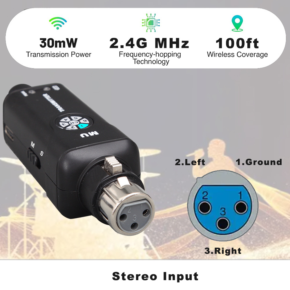 2.4G Wireless In Ear Monitor S - In Ear Monitor Iem review and price
