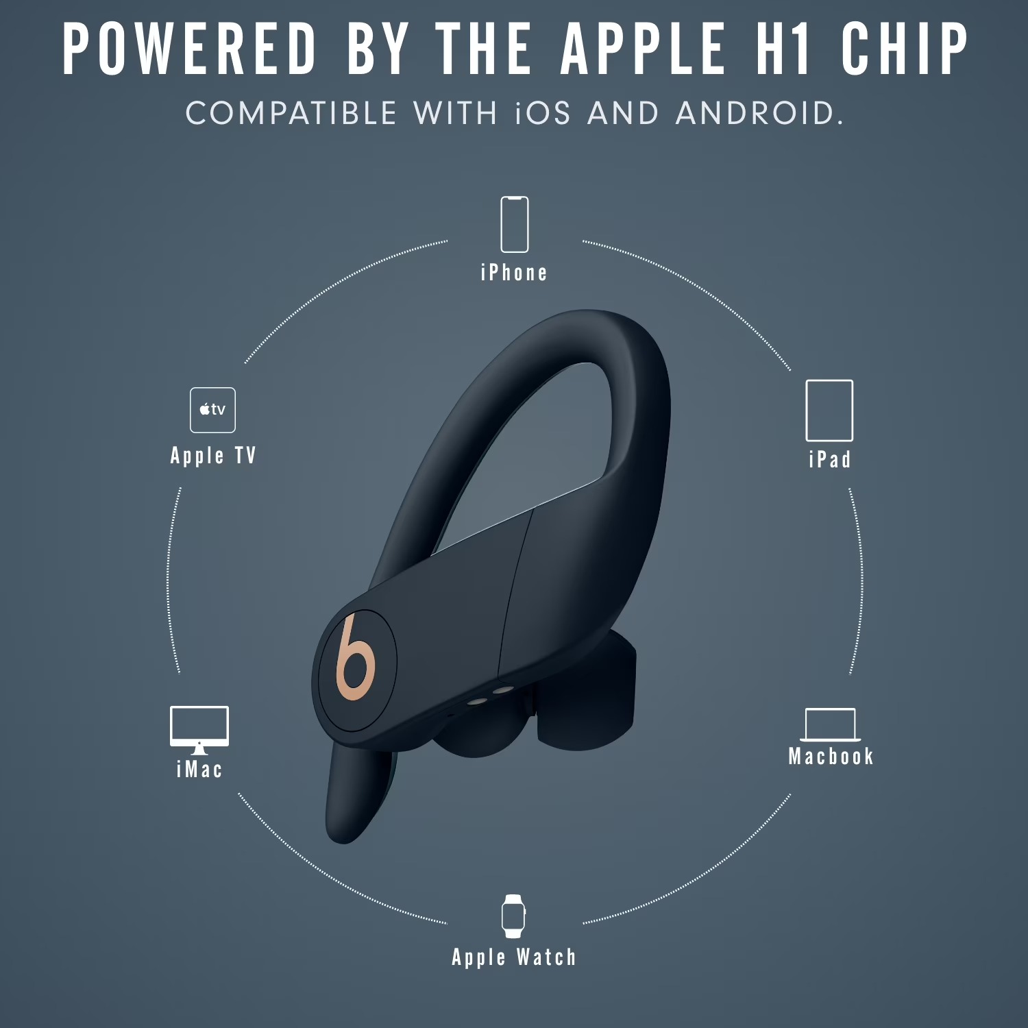 Beats Powerbeats Pro In-Ear Wi - Beats Headphone Powerbeats Pro review and price