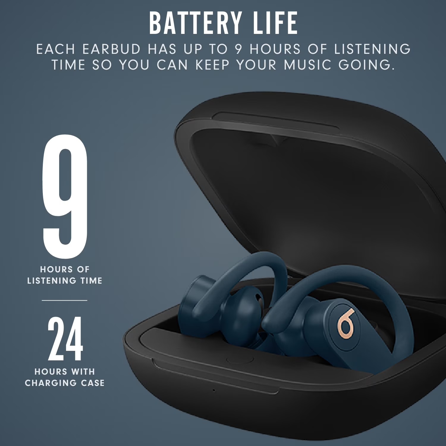 Beats Powerbeats Pro True Wire - Beats Headphone Powerbeats Pro review and price