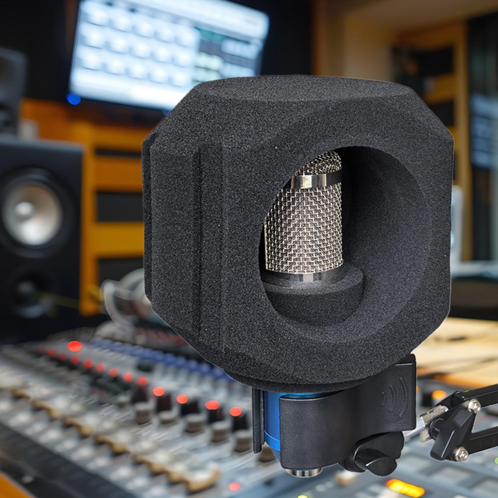 Microphone Isolation Ball Nois - Shure Mic Sm58 review and price